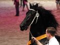 IMG_9517-Norbert-444