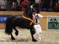 IMG_9522-Norbert-444
