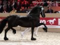 IMG_9600-Norbert-444