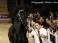 IMG_7378-Olgert-445