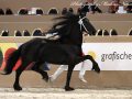 IMG_8536-Olgert-445