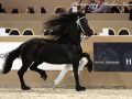 IMG_8538-Olgert-445