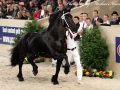 IMG_8552-Olgert-445
