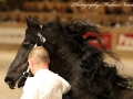IMG_9829-Olgert-445