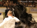 IMG_9831-Olgert-445