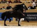 IMG_1767-Omer-493