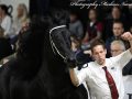 IMG_3386-Omer-493