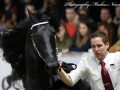 IMG_3387-Omer-493