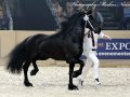 IMG_6202-Omer-493