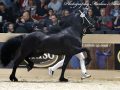 IMG_6221-Omer-493
