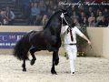IMG_6234-Omer-493