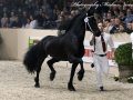 IMG_6254-Omer-493