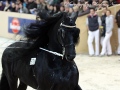 IMG_9093-Onne-376