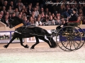 IMG_2781-Eise