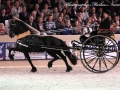 IMG_2782-Eise