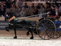IMG_2868-Eise