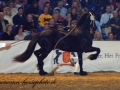 img_3224-riemer379