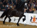 img_3096-rik396