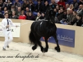 img_8961-rik396