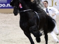 img_9521-rik396