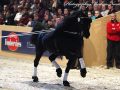 IMG_5700-Rindert-406