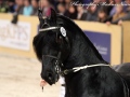 IMG_6410-Rindert-406