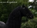 img_4030-rindert406