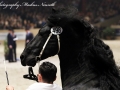 IMG_2410-Rommert-498