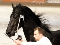 IMG_3109-Rommert498
