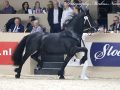 IMG_4526-Rommert-498