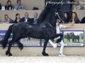 IMG_4548-Rommert-498