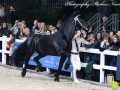 IMG_4569-Rommert-498