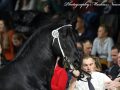IMG_4576-Rommert-498