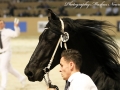 IMG_5873-Rommert498