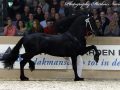 IMG_6868-Rommert-498