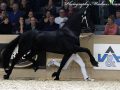 IMG_6899-Rommert-498