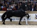 IMG_6902-Rommert-498