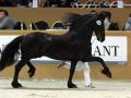 IMG_0928-Sake-449