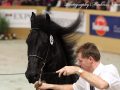 IMG_0951-Sake-449