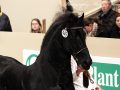 IMG_8760-Sake-449