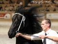 IMG_9616-Sake-449