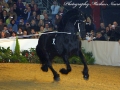 IMG_2828-Sierk-326