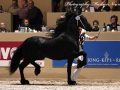 IMG_2452-Siert-499