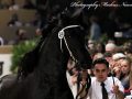 IMG_2466-Siert-499