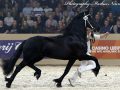IMG_6924-Siert-499