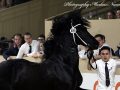 IMG_6927-Siert-499