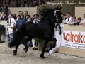 IMG_6953-Siert-499