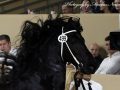 IMG_6954-Siert-499