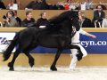 IMG_2072-Sipke-450