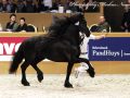 IMG_2076-Sipke-450